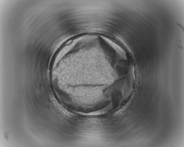 X0000099520932200806051207