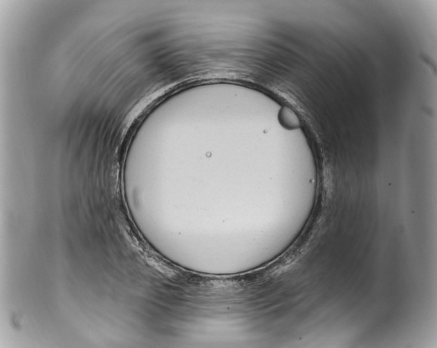 X0000099520933200806051207