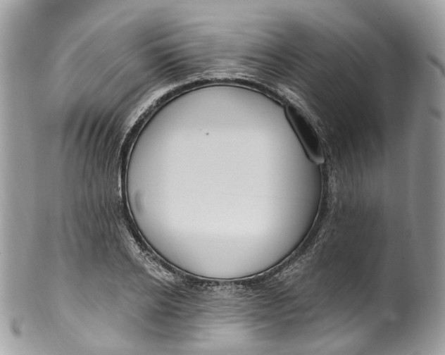 X0000099520934200806051207