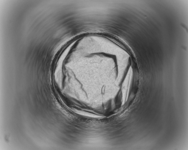 X0000099520935200806051207