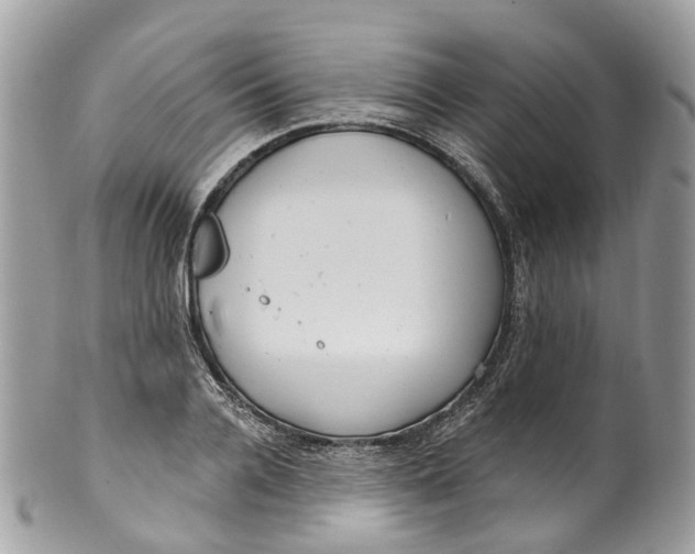 X0000099520936200806051207