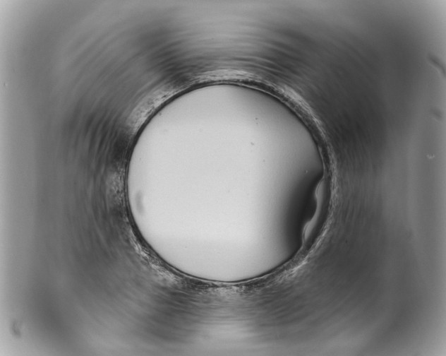 X0000099520937200806051207