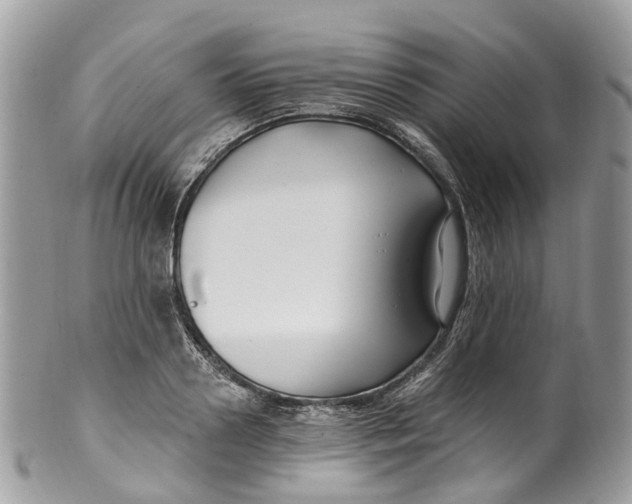 X0000099520938200806051207