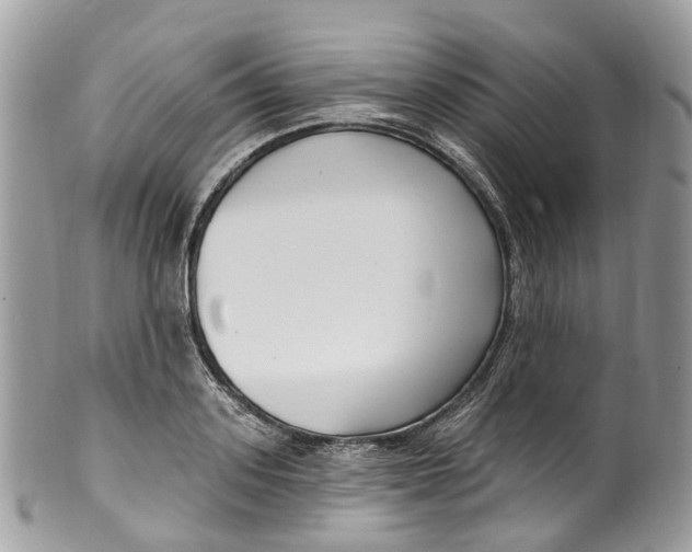 X0000099520939200806051207