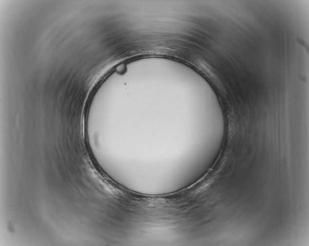 X0000099520940200806051207