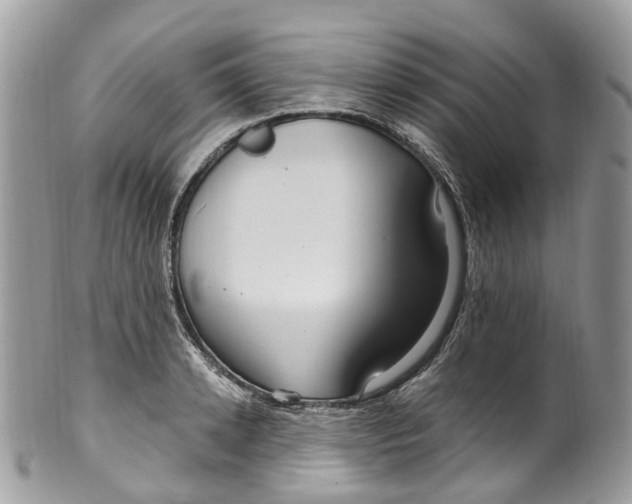 X0000099520942200806051207