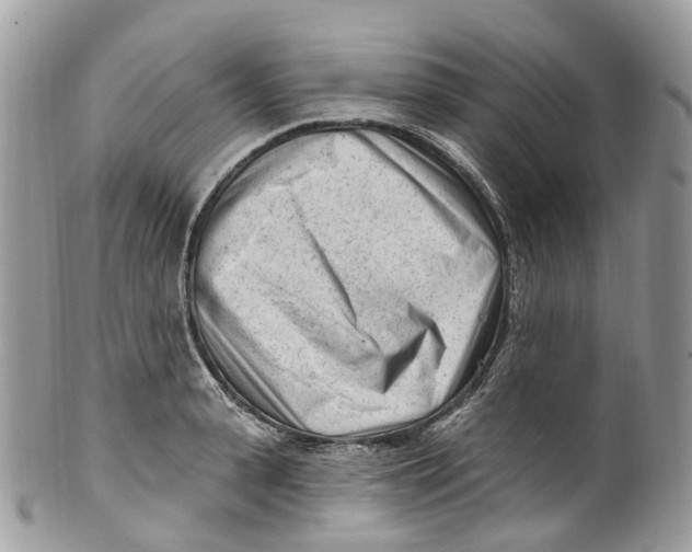 X0000099520943200806051207