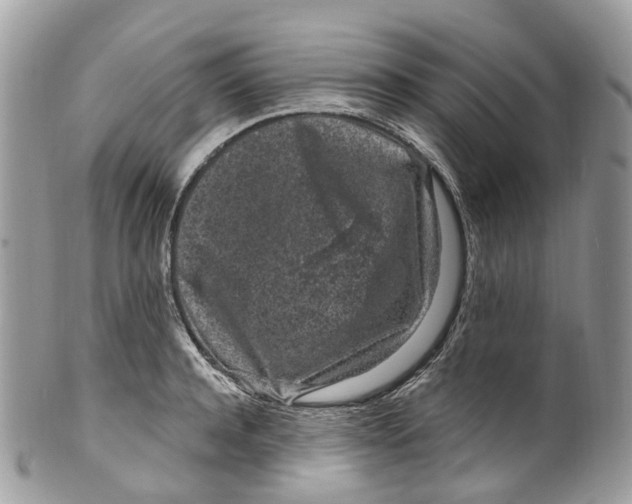 X0000099520944200806051207