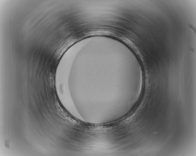 X0000099520945200806051207