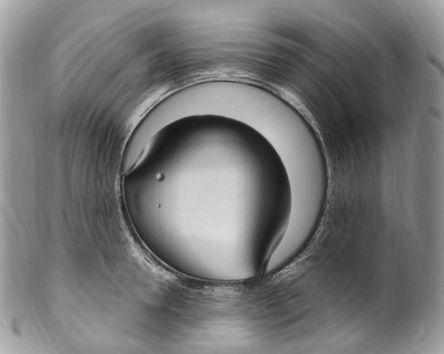 X0000099520946200806051208