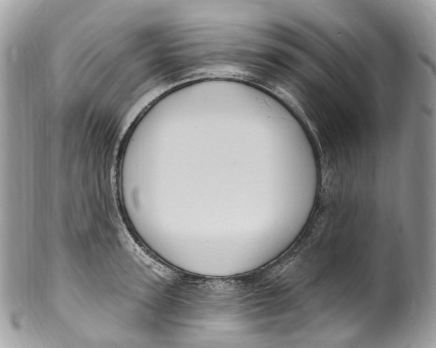 X0000099520947200806051208