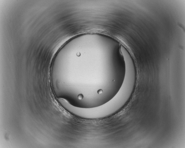 X0000099520948200806051208