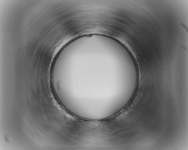 X0000099520949200806051208