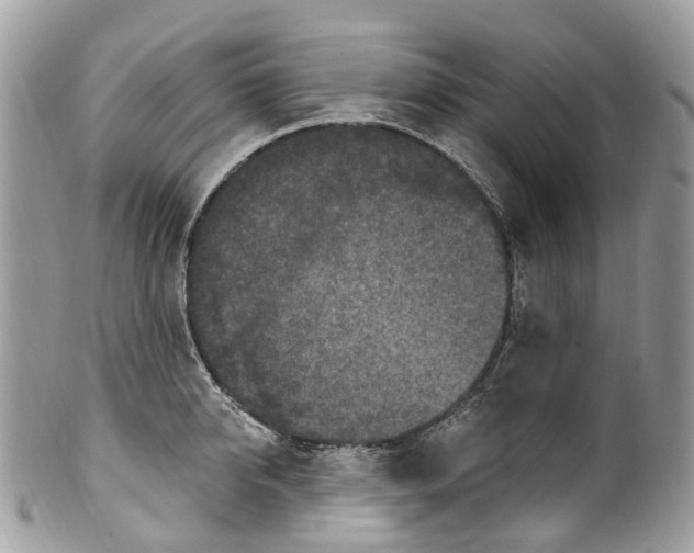 X0000099520950200806051208