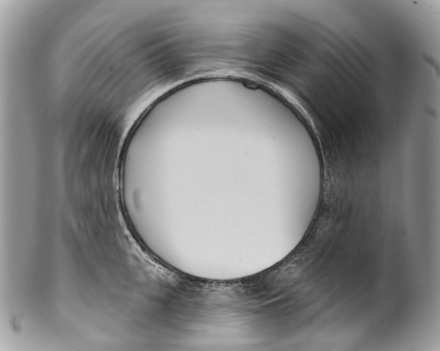 X0000099520951200806051208