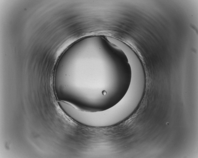 X0000099520952200806051208