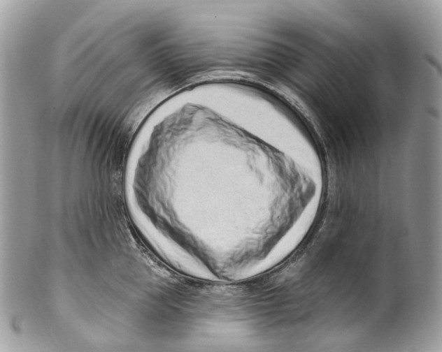 X0000099520953200806051208