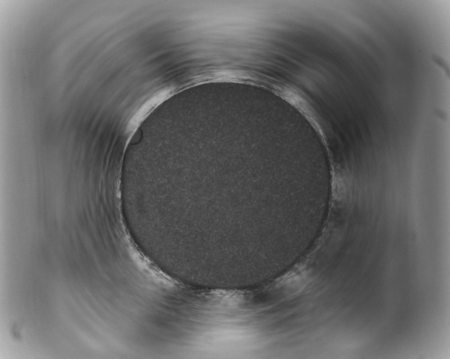 X0000099520954200806051208