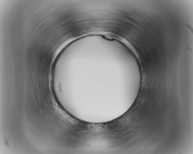 X0000099520955200806051208