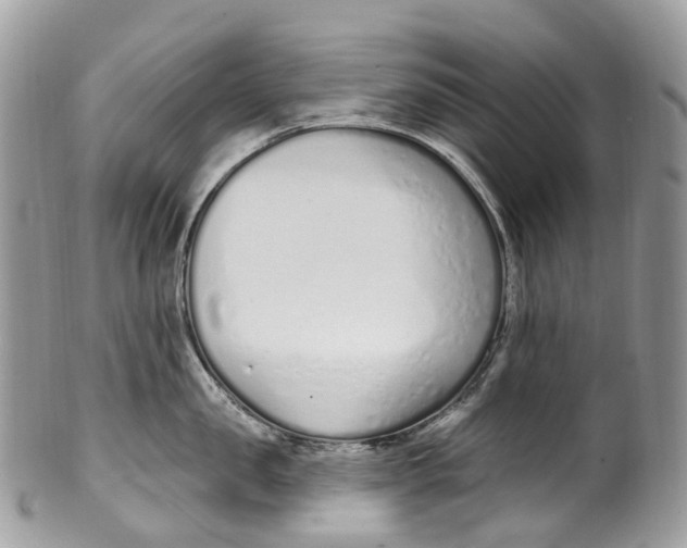 X0000099520957200806051208