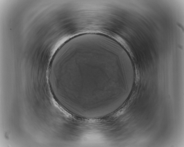 X0000099520958200806051208