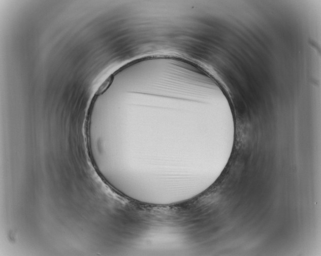 X0000099520959200806051208