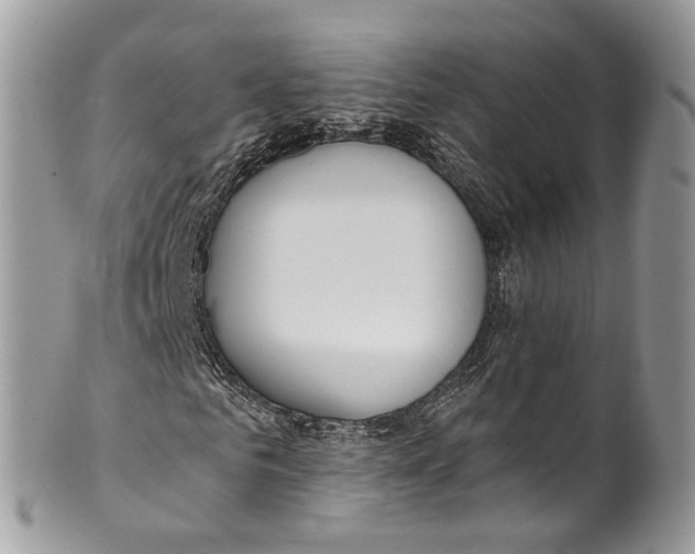 X0000099520961200806051207