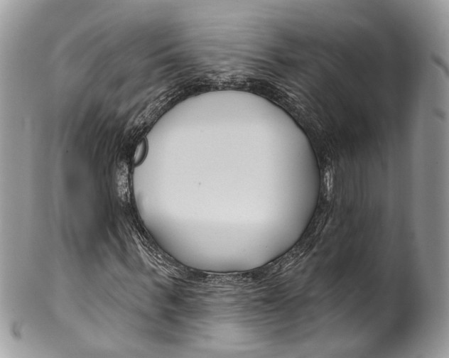 X0000099520963200806051207