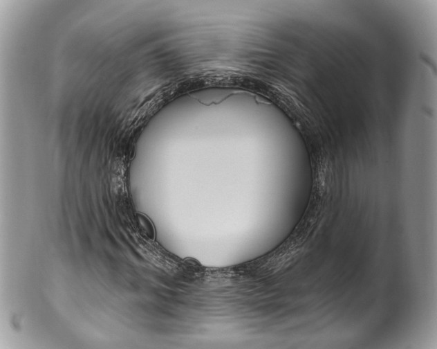 X0000099520964200806051207