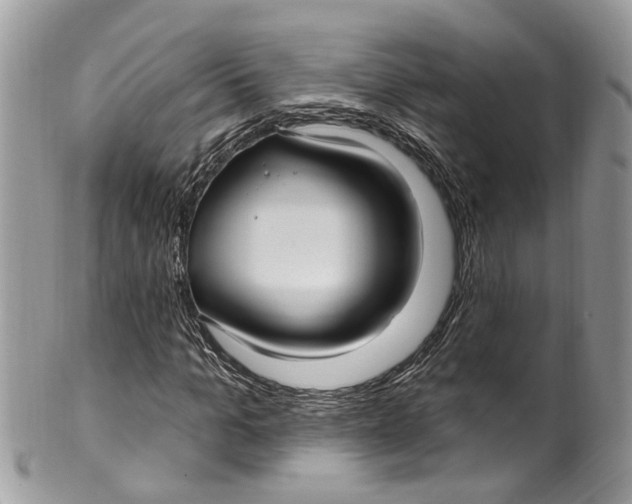 X0000099520965200806051207