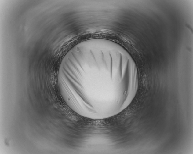 X0000099520966200806051207