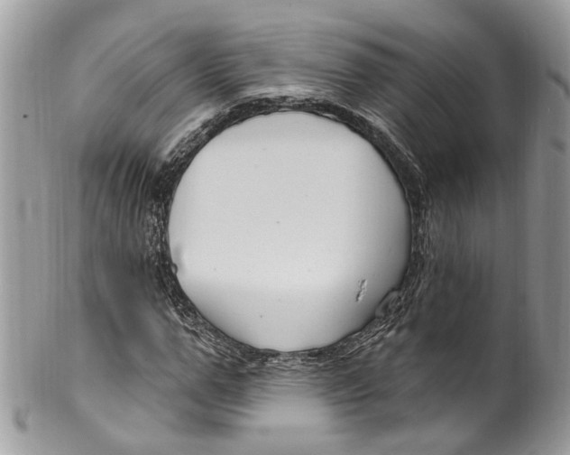 X0000099520967200806051207