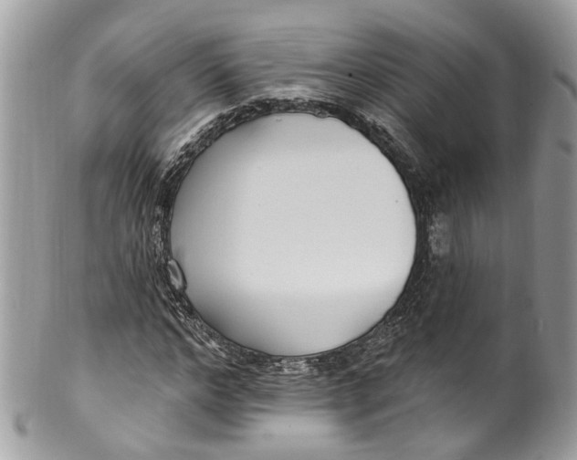 X0000099520968200806051207