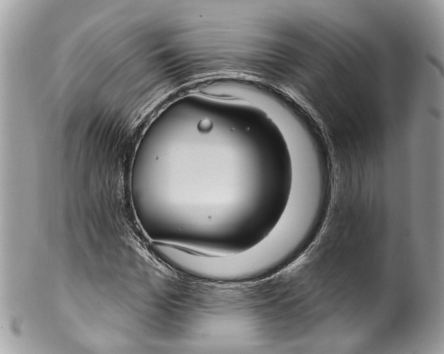 X0000099520969200806051207