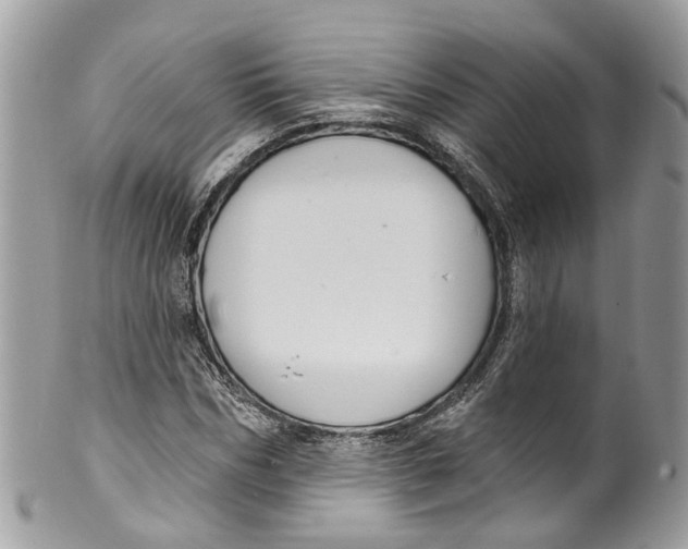 X0000099520970200806051207