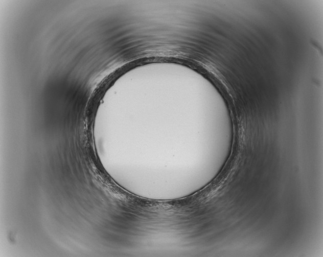 X0000099520971200806051207