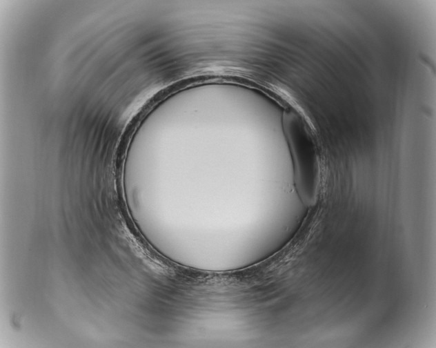 X0000099520972200806051207