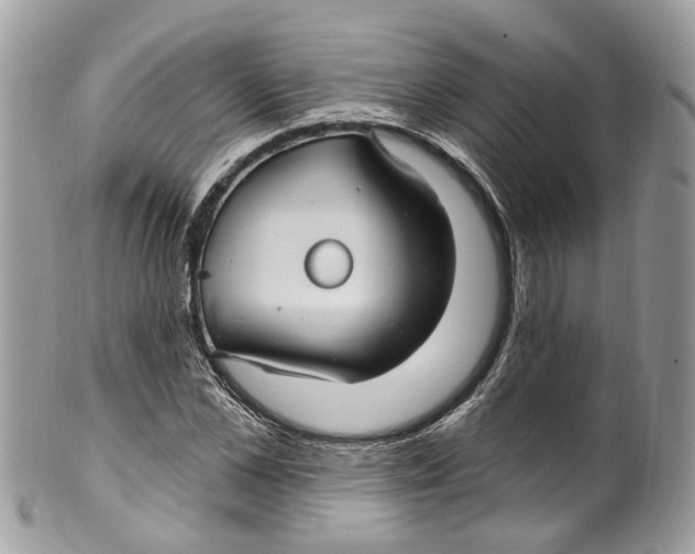 X0000099520973200806051207