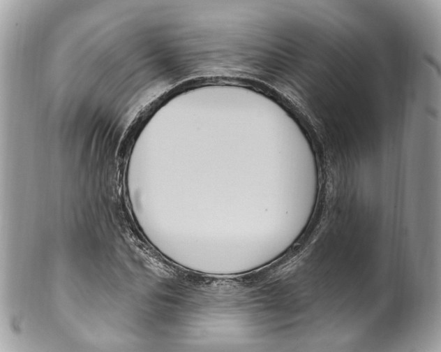 X0000099520974200806051207