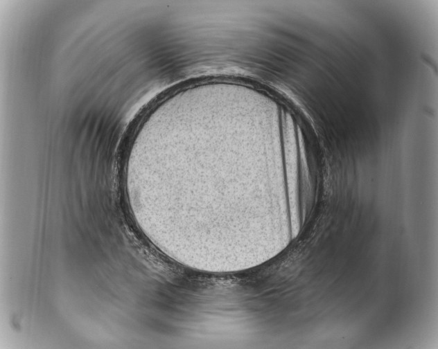 X0000099520975200806051207