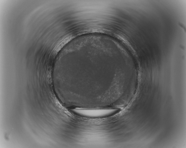 X0000099520977200806051207