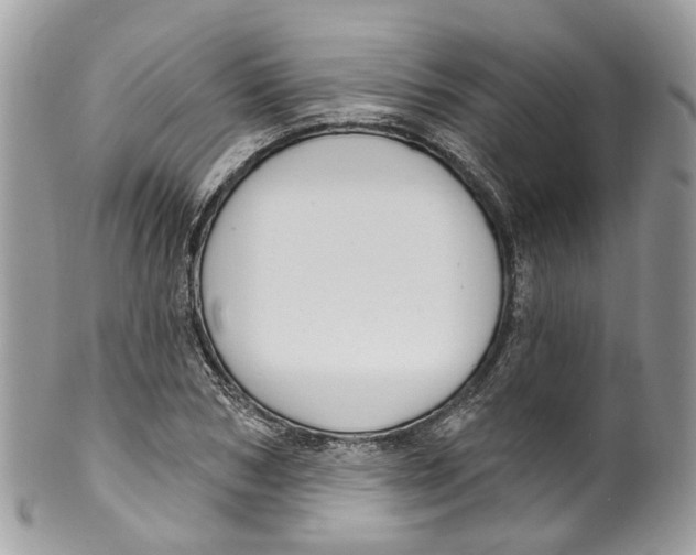 X0000099520978200806051207