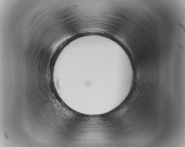 X0000099520979200806051207