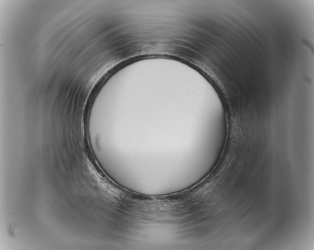 X0000099520980200806051207