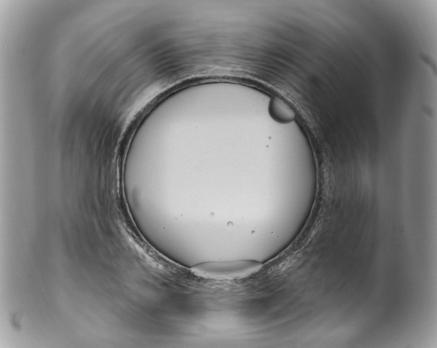 X0000099520982200806051207