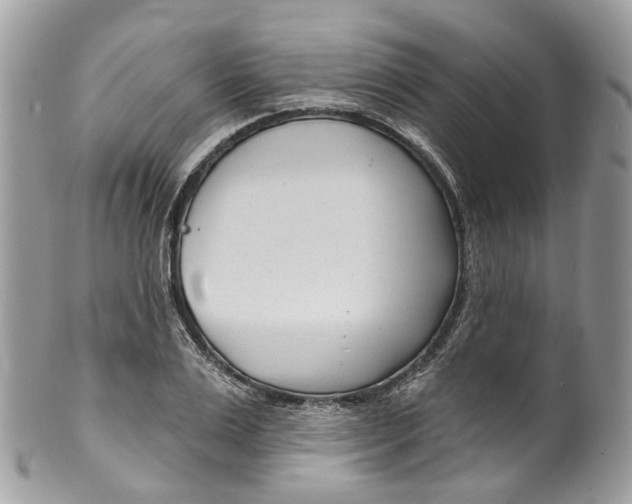 X0000099520983200806051207