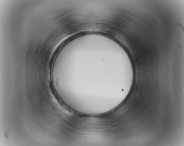 X0000099520984200806051207