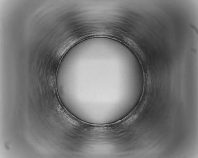 X0000099520985200806051207