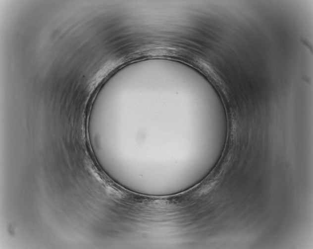 X0000099520986200806051207