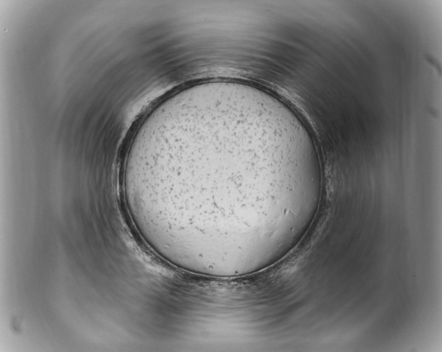 X0000099520987200806051207